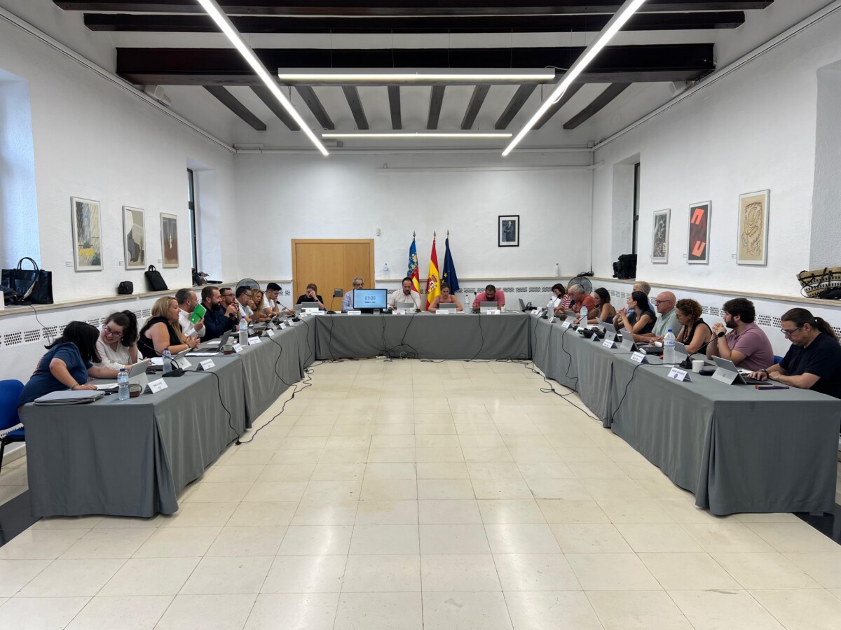 Ple ordinari juny Manises